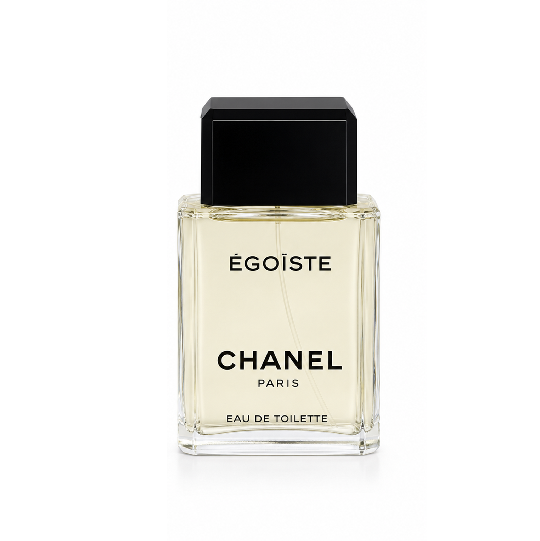 CHANEL Pour Homme Egoiste Eau de Toilette 100 ml