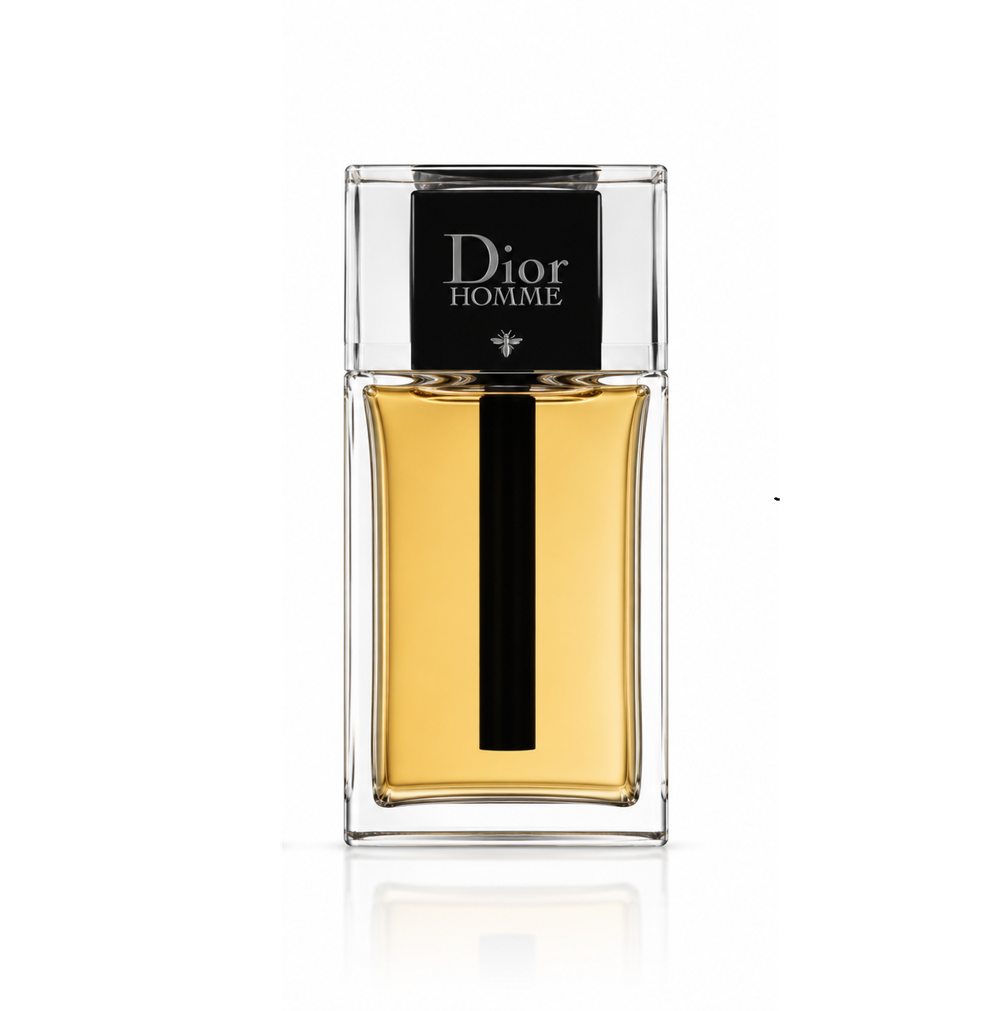 Dior Homme Eau de Toilette 100 ml