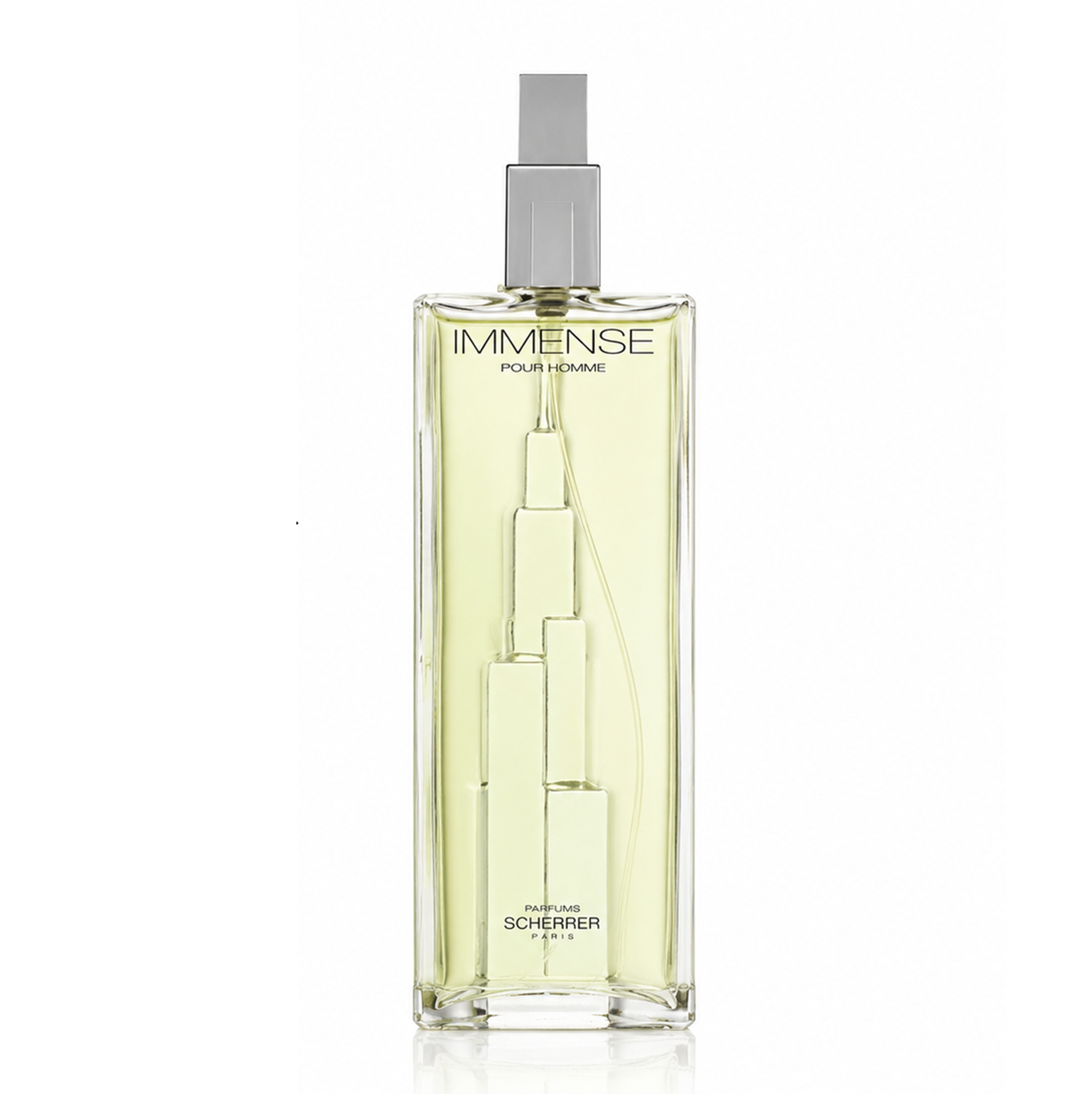 Scherrer Immense Homme Eau de Toilette Spray 100ml