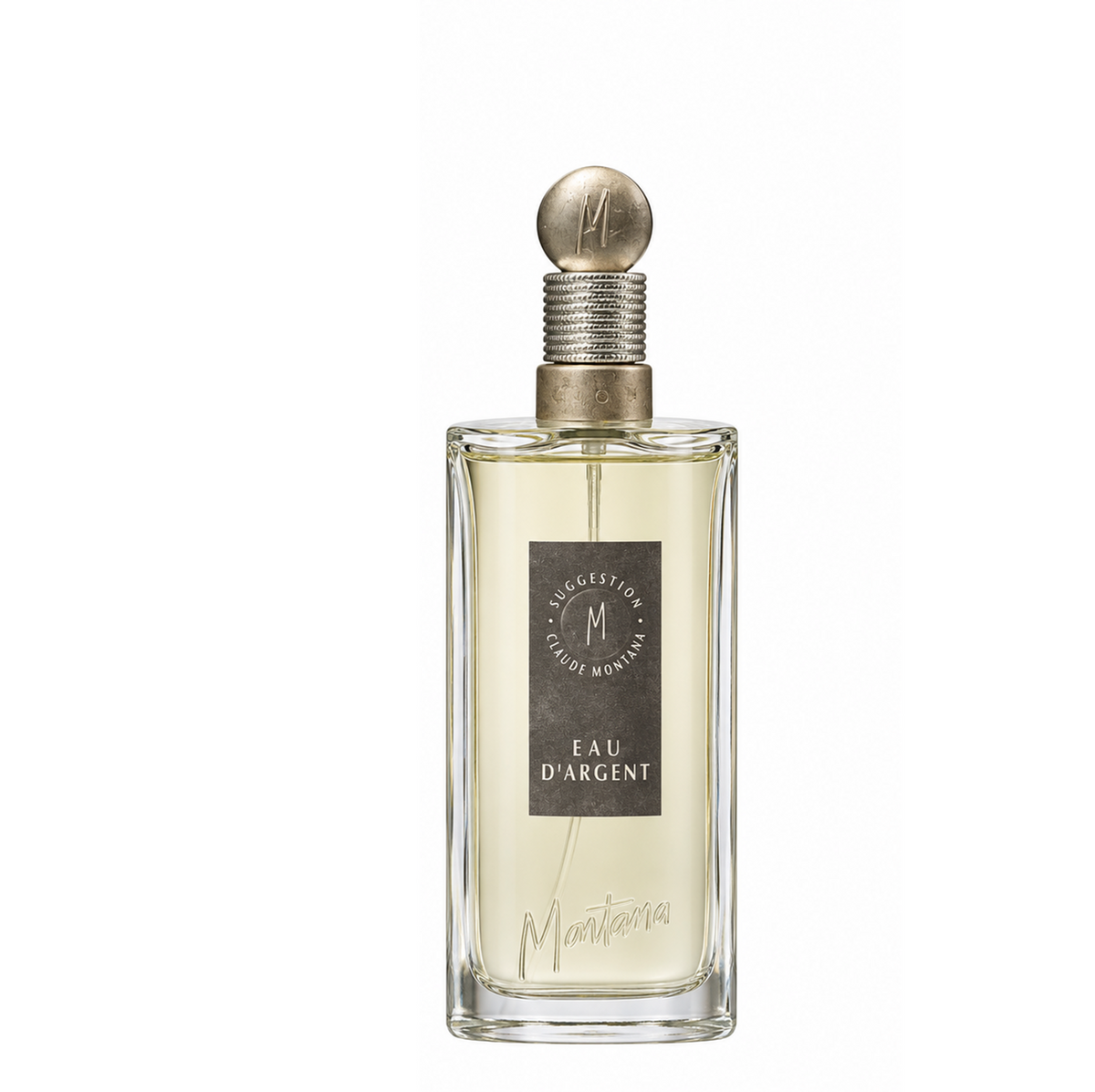 Montana Eau d`Argent Eau de Toilette100 ml