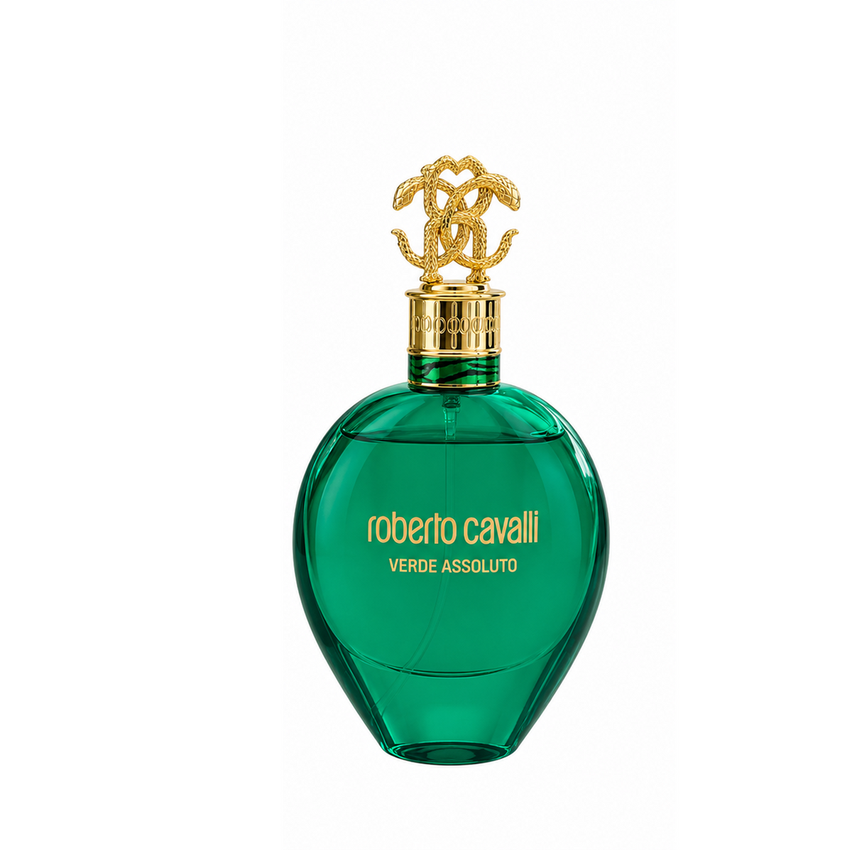 Roberto Cavalli Verde Assoluto Eau de Parfum 100ml